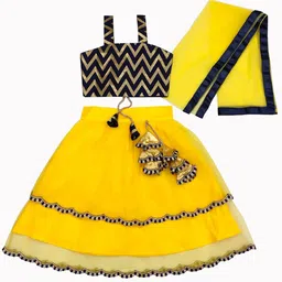 BAESD Girls Printed Ready to Wear Lehenga & Blouse With Dupatta-picture-49
