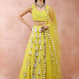 Payal Singhal Embroidered Ready to Wear Lehenga & Blouse With Dupatta-picture-33