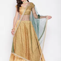 Clora Creation Polka Dots Embroidered Net Dupatta With Sequinned-7