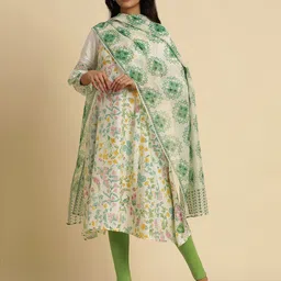 W Ethnic Motifs Printed Dupatta-58