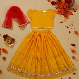 SAKA DESIGNS Girls Ready to Wear Lehenga & Blouse With Dupatta-image-32
