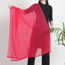 LOOM LEGACY Ethnic Motifs Embroidered Dupatta with Thread Work-49