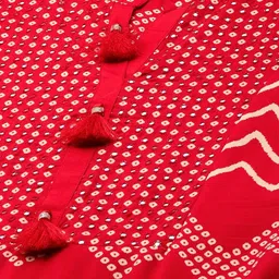 KALINI Geometric Printed Mandarin Collar Mirror Work Kurta With Trousers & Dupatta image 2