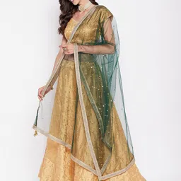 Clora Creation Polka Dots Embroidered Net Dupatta With Sequinned image 4
