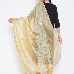 Clora Creation Tan Ethnic Motifs Embroidered Dupatta with Mirror Work image 4
