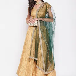 Clora Creation Polka Dots Embroidered Net Dupatta With Sequinned image 2