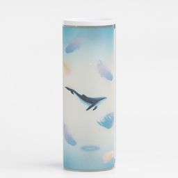 QIPS Kids Printed Pencil Case-12