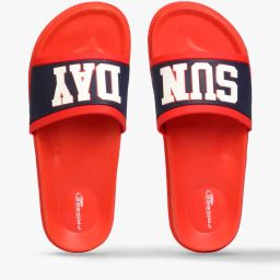 frisbee Typographic Print Slides image 1