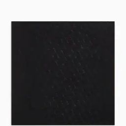 Women Brand Signature Embroidered Scarf-13