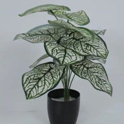 home bloom Artificial Caladium Plant image 2