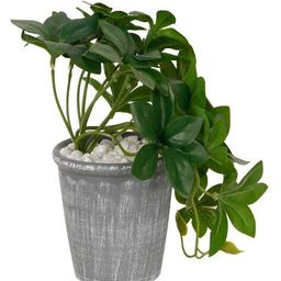 foliyaj Set of 2 Artificial Plants with Pots image 2