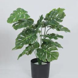 home bloom Artificial Monstera Plant Basic image 2