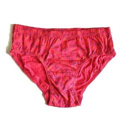 samvar Full Coverage High Rise Briefs image 2