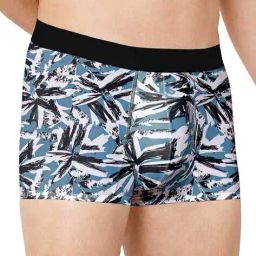 ptvize Printed Regular Trunks with Elasticated Waistband image 2