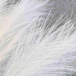 homesake Set of 3 Artificial Pampas Grass Sticks image 3