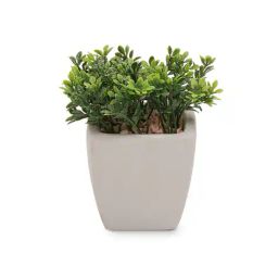pure home and living Artificial Plant in Cement Pot - Medium image 3