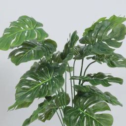 home bloom Artificial Monstera Plant Basic image 3