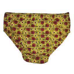 samvar Full Coverage High Rise Briefs image 3
