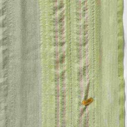 aurelia Women Zari Striped Dupatta image 4