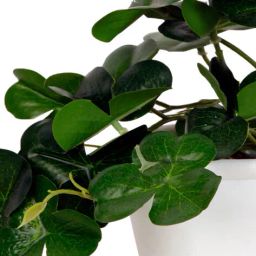 foliyaj Set of 2 Artificial Plants with Pots image 4