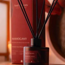soul & scents Reed Diffuser Set With 6 Reed Sticks image 4