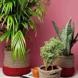 habere india Pack of 3 Handmade Biodegrable Eco Friendly Planters Baskets image 5