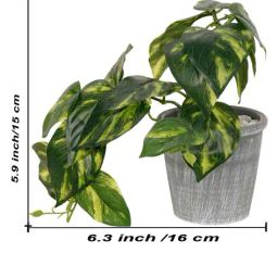 foliyaj Set of 2 Artificial Plants with Pots image 5