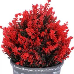 foliyaj Set of 2 Artificial Plants with Pots image 5