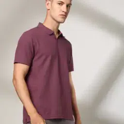 Men Regular Fit Polo T-Shirt-image-93