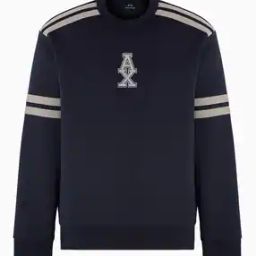Men Logo Embroidered Regular Fit Crew-Neck Sweatshirt-image-58