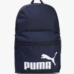 Phase Everyday Backpack with Adjustable Straps-image-55