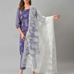 Women Embroidered Brasso Dupatta-picture-19