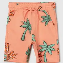 Boys Printed Regular Fit Shorts-image-52