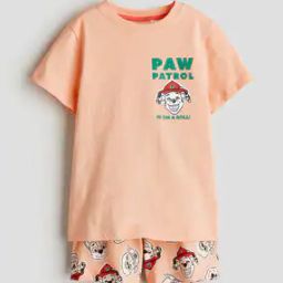 Boys Cotton Cartoon Shorts & T-shirt Set-picture-44