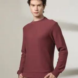 Men Knitted Slim Fit Crew-Neck Sweatshirt-image-68