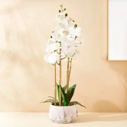 Gloria Orchids Artificial Plant in Pot-41