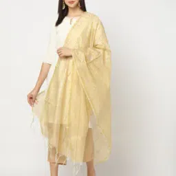 Foil Bandini Jaal Print Dupatta-picture-51