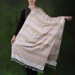 Women Rayon Stole-image-99