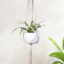 Twisted Macrame Plant Hanger with Pot-image-42