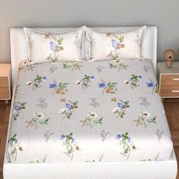 florida TC 200 Floral Print Super King Bedsheet Set with 2 Pillow Covers-picture-32