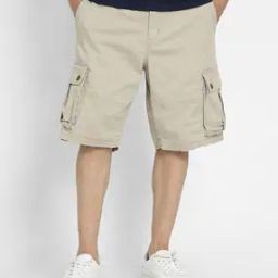 american eagle Men Mid Rise Regular Fit Shorts-picture-20