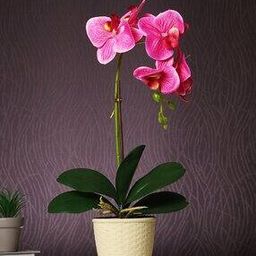 Orchid Artificial Plant with Pot-image-46