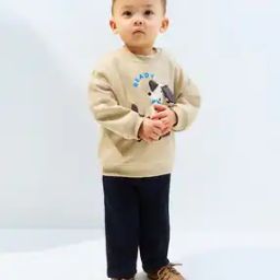Boys Cartoon Regular Fit Sweatshirt-picture-18
