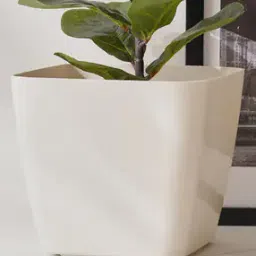 home centre Plastic Floor Plant Pot-picture-32