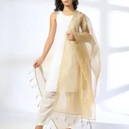 Women Dupatta with Tassels-image-65
