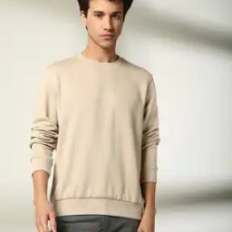 Men Slim Fit Crew-Neck Sweatshirt-image-12