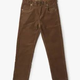 Boys Regular Fit Corduroy Pants-picture-41