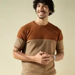 Regular Fit Colourblocked Crew- Neck T-Shirt-image-17