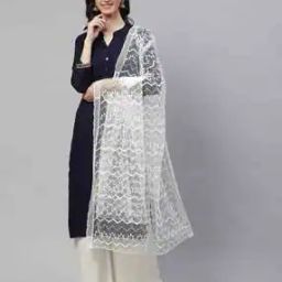 Embroidered Net Dupatta-28