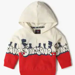 Dinosaur Print Hoodie-picture-4
